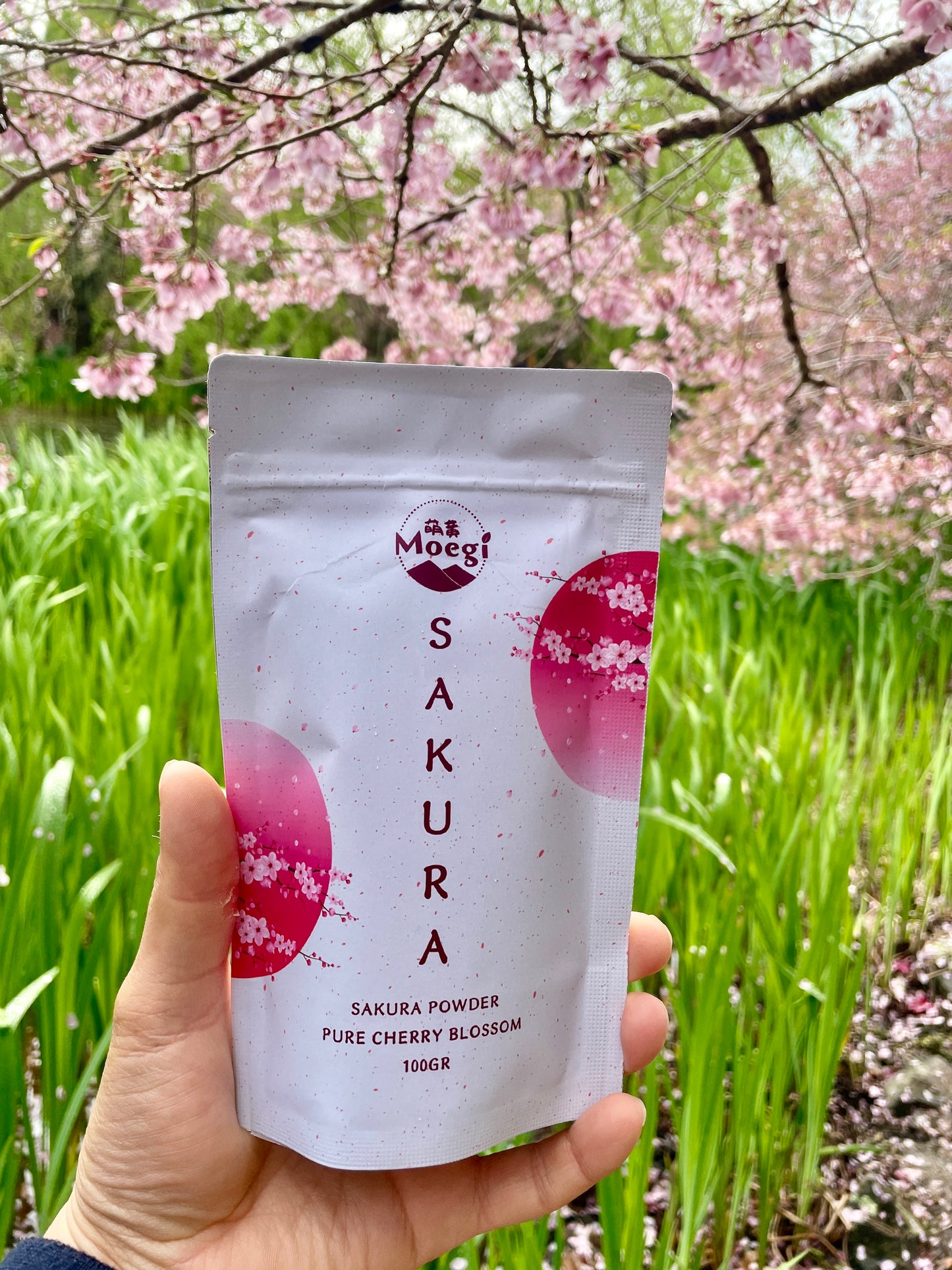 Sakura Powder